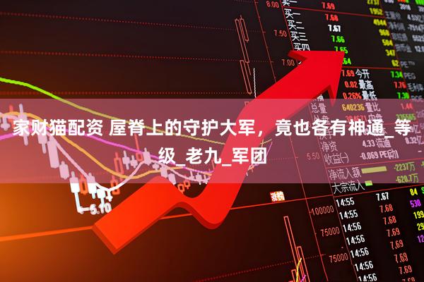 家财猫配资 屋脊上的守护大军，竟也各有神通_等级_老九_军团