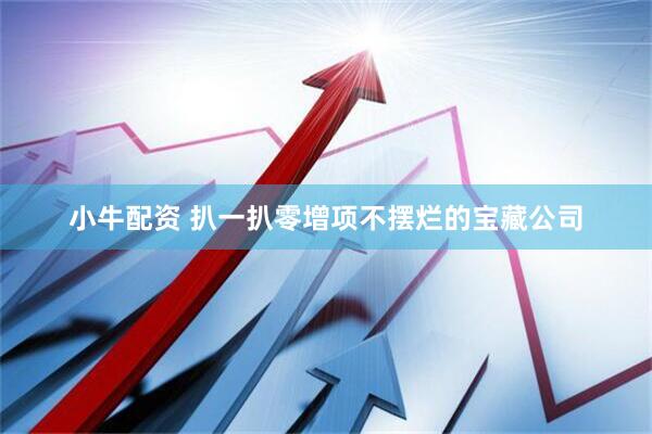 小牛配资 扒一扒零增项不摆烂的宝藏公司