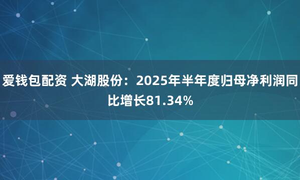 爱钱包配资 大湖股份:2025年半年度归母净利润同比增长81.34%