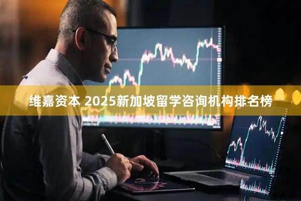 维嘉资本 2025新加坡留学咨询机构排名榜