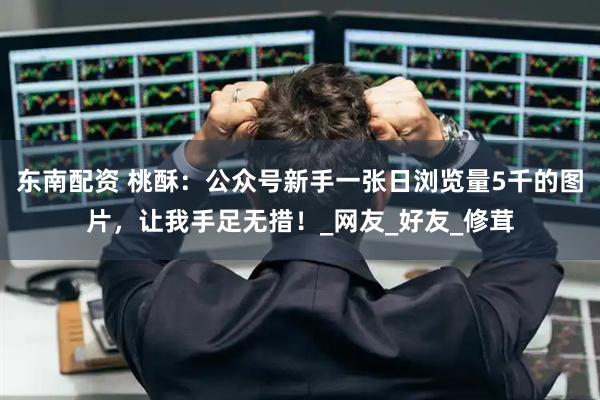 东南配资 桃酥：公众号新手一张日浏览量5千的图片，让我手足无措！_网友_好友_修茸